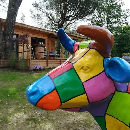 La A Papi Lodge